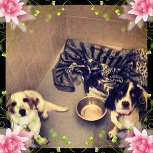 Meet your Posher, Patricia